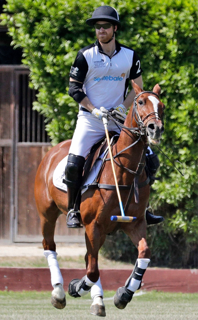 Prince Harry, Polo Cup
